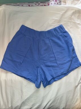Aerie Go-To Fleece Dream Blue Short